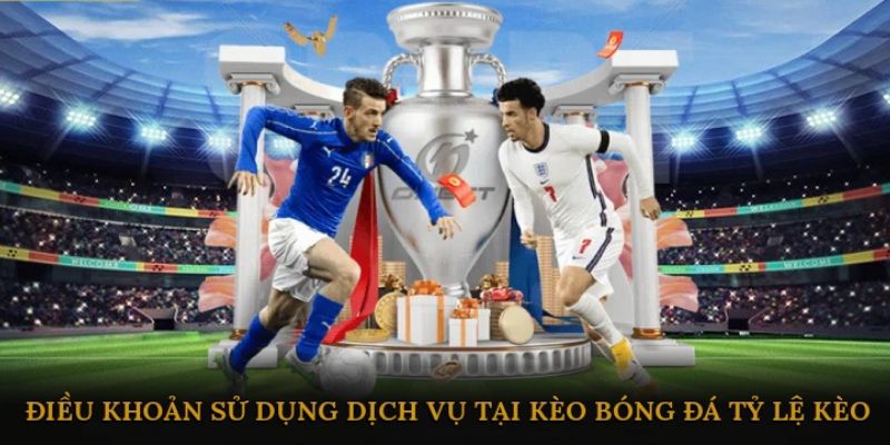Vai trò quan trọng của điều khoản dịch vụ
